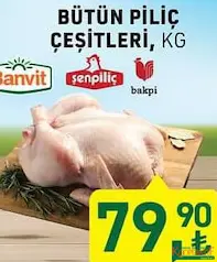 BÜTÜN PİLİÇ ÇEŞİTLERİ KG